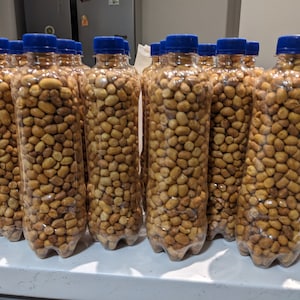 Organic Dry Crunchy Roasted Salted Nigerian Groundnuts Peanuts