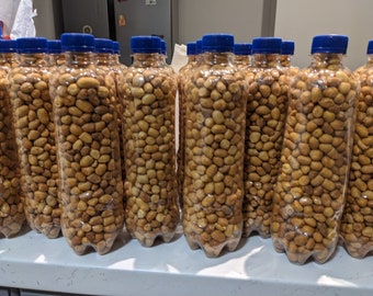 Cacahuetes nigerianos salados tostados crujientes secos orgánicos Cacahuetes