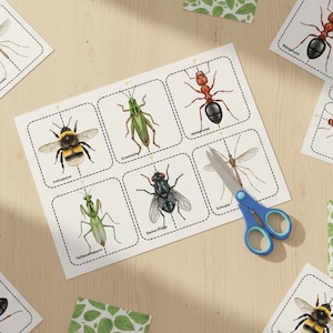 Insect Symmetry Puzzle PDF | Montessori Memory Game to Print | 30 Insect Learning Cards | Nature Busy Book Template for Kindergarten
