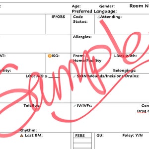 Nursing Report Sheet