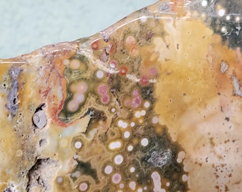 May include: Close-up of a polished stone with a mix of colors. The stone features a blend of yellow, orange, red, and green hues, with white and pink circular patterns. The surface has a glossy finish and a natural, irregular edge.