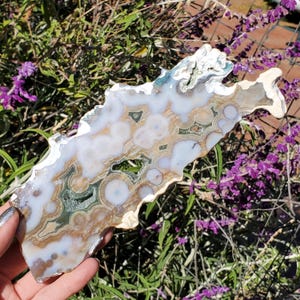 May include: A polished, irregularly shaped stone slab with a unique pattern. The stone features concentric circles and swirls in shades of white, brown, and green. The edges are rough and natural, showcasing the stone's organic form.