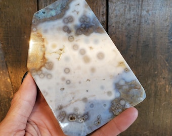 Losa de cristal dendrítico orbicular blanco translúcido de jaspe oceánico, 222 gramos