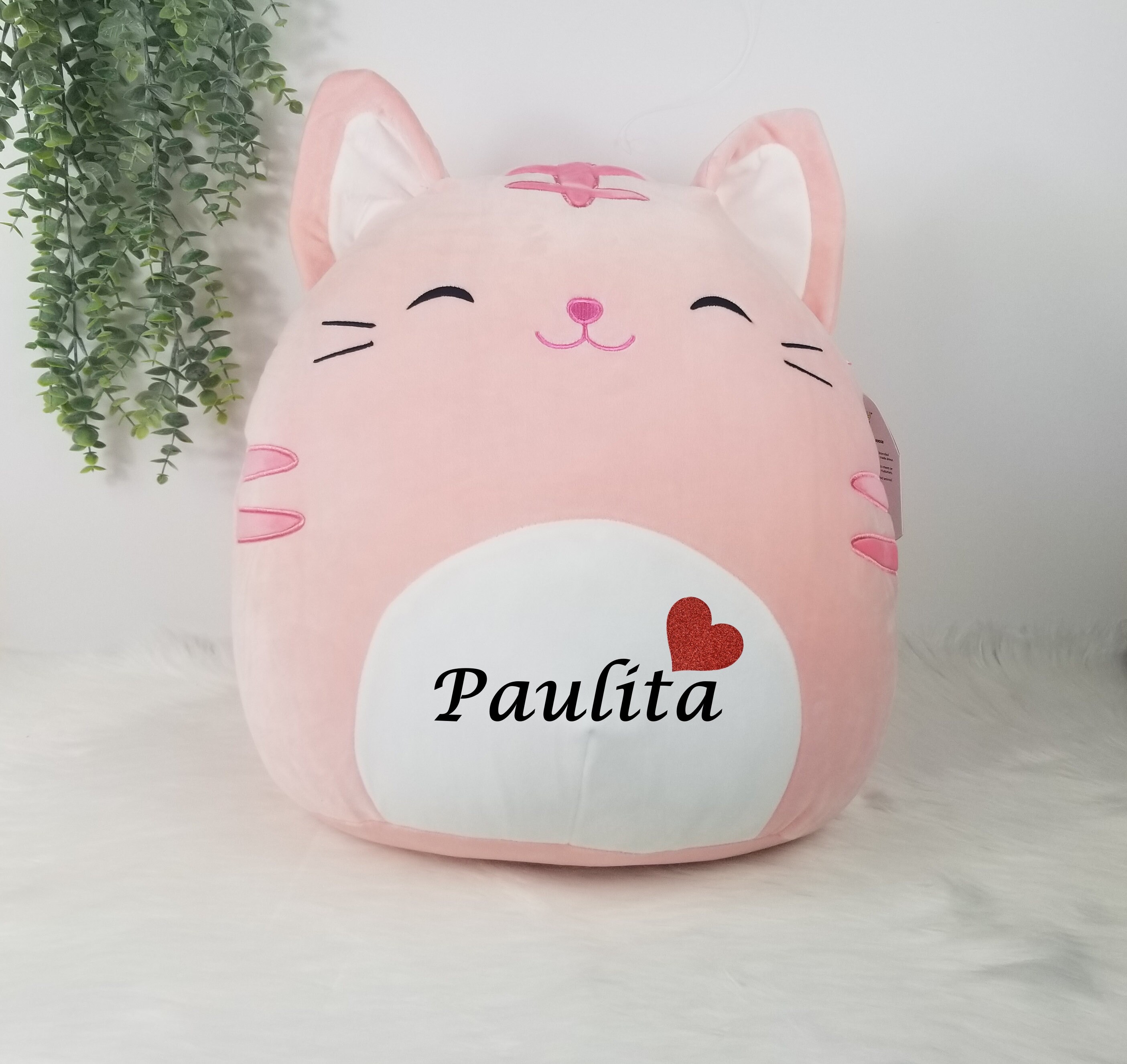 Squishmallow 12 Cam Calico Cat Appliqued love Heart W/custom Hand