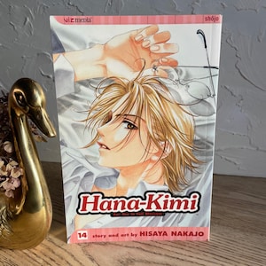 Vintage 1990s Hana-Kimi by Hisaya Nakajo Volume 14 --English Manga