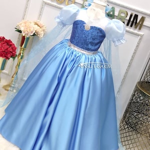 Frozen Elsa jurk. Bevroren prinsessenjurk. Baby meisje jurk