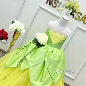 Princess Tiana dress. Tiana costume. Birthday Dress. Tiana dress. For special occasion