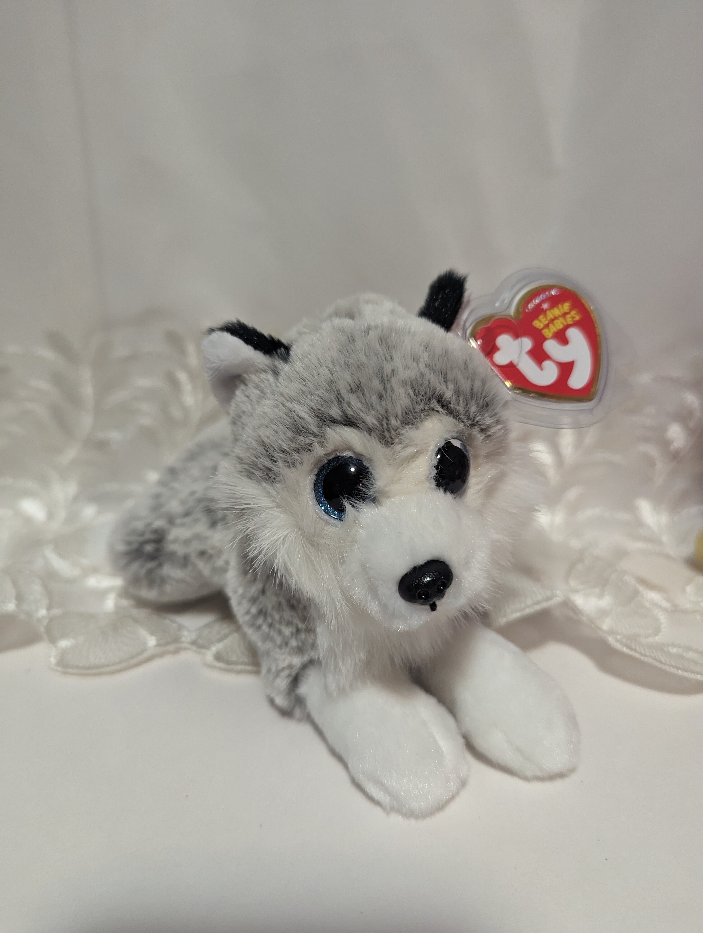 husky beanie baby