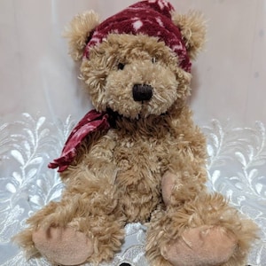 Cranberry The Bear With Winter Hat And Scarf From The Russ Berrie Company - Cute Winter Plush Toy (10in) no Tag