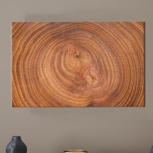 Tree Trunk Canvas Art: Wood Slice Print, Farmhouse Wall Decor