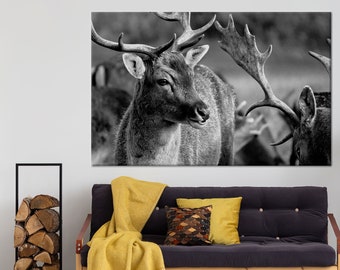 Deer Photo Print, Deer Wall Art, Deer Canvas, Deer Poster, Deer Wall Decor, Deer Home Decor, Animal Wall Art, Nature Wall Art, Nature Canvas