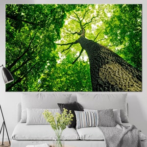 Arte mural de bosque verde, lienzo con árbol mirando hacia arriba para decoración inspirada en la naturaleza, lienzo de árbol, arte mural de árboles verdes, arte mural de bosque