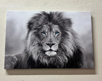 Blue Eyed Lion Leinwand: Wildtiere Wand Dekor