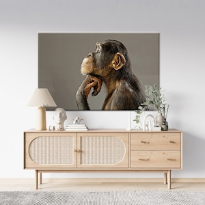 Thinking Chimp Canvas Print: Monkey Photo Wall Art