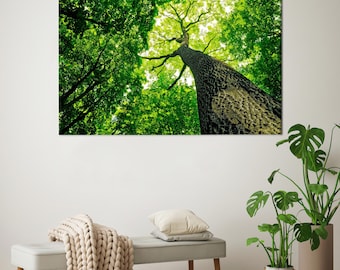 Green Forest Canvas Print: Nature Inspired Tree Wall Art