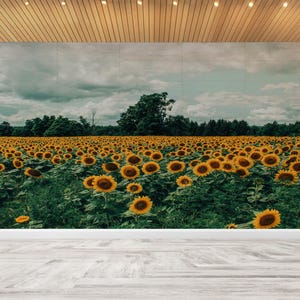 Feld Landschaft Wandbild, Ansicht Papiermodelle, Sonnenblumenfeld Landschaft Wandbild, Geschenk Tapete,