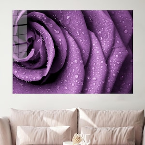 May include: A close-up image of a purple rose, showcasing water droplets on its petals. The photograph highlights the flower's texture and colour, creating a visually appealing floral art piece. The rose is a symbol of love and beauty.