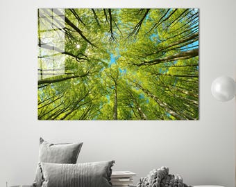 May include: A view looking up through the canopy of a lush green forest. The trees are tall and slender, with their branches reaching up towards the bright blue sky.