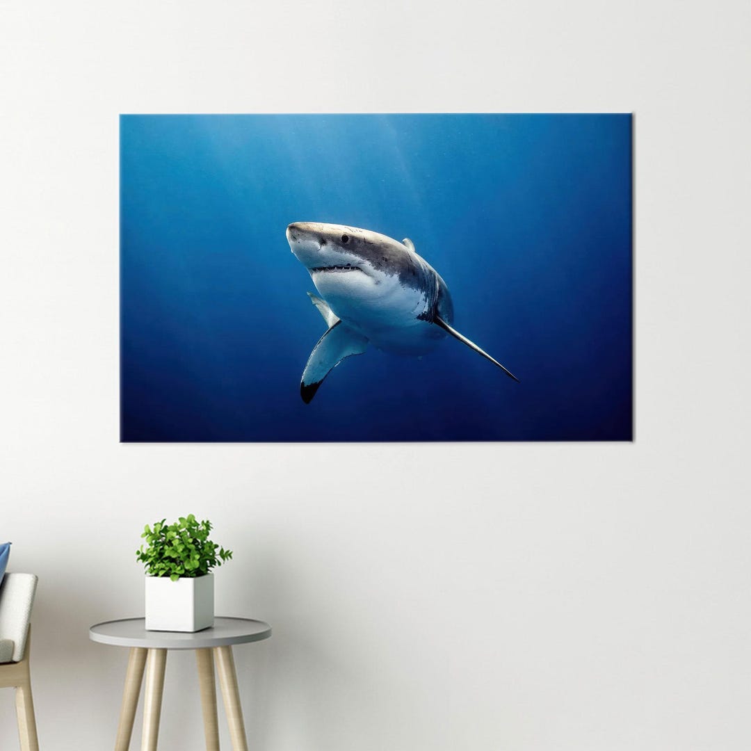 Great White Shark Canvas Wall Art, Underwater Ocean Predator Poster ...