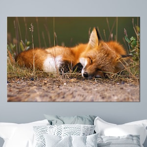 Schlafender Fuchs Leinwanddruck - Friedliche Wildtiere Tierdruck für Schlafzimmer - Naturinspirierte Waldwanddekoration