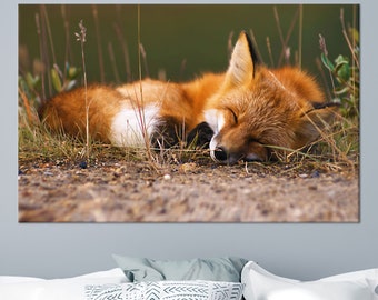 Sleeping Fox Canvas Print: Peaceful Woodland Animal Wall Art