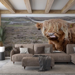 Highland Cow Wallpaper Mural: Peel and Stick Cattle Wall Art