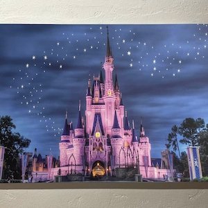 Cinderella Castle, Disney Home Decor, Disney Wall Art Canvas, Disneyland Canvas, Disney Wall Art Canvas, Cinderella Wall Art, Girls Wall Art