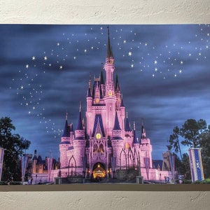 Cinderella Castle, Disney Home Decor, Disney Wall Art Canvas, Disneyland Canvas, Disney Wall Art Canvas, Cinderella Wall Art, Girls Wall Art