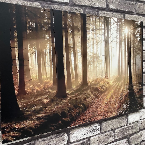 Forest Path At Sunset, Forest Path At Sunset Canvas Decor, 3D Wall Art, Forest View Canvas Print, Canvas Wall Art, 3D Canvas, View Canvas Gi