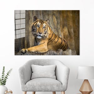 Tiger Glass Wall Art: Animal Tempered Glass Print
