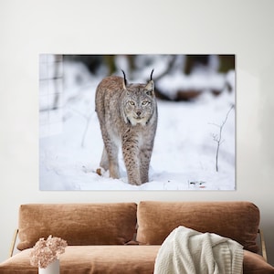 Lynx Cat Canvas Print: Modern Animal Wall Art