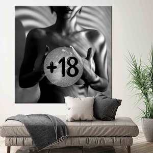 May include: Black and white artwork featuring a person holding a sphere with the text "+18". The artwork is displayed on a wall above a gray sofa with pillows and a blanket. A potted plant is to the right.