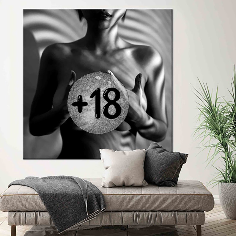 May include: Black and white artwork featuring a person holding a sphere with the text "+18". The artwork is displayed on a wall above a gray sofa with pillows and a blanket. A potted plant is to the right.