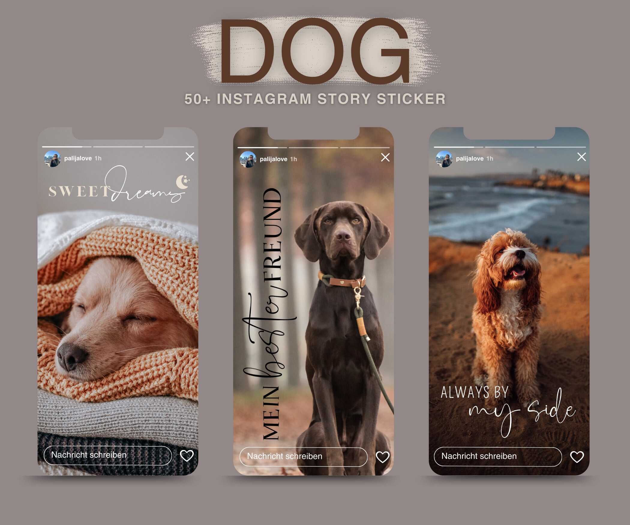 Das besondere Bilderbuch: Hilfe, dieses Buch hat meinen Hund gefressen! |  Deutsche Bücherei Tondern, image size:2100x1750