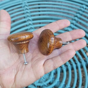 May include: Two round wooden cabinet knobs with a polished finish and visible wood grain patterns. Each knob features a tapered base and a silver-coloured metal screw extending from the bottom for installation purposes on furniture or cabinetry.
