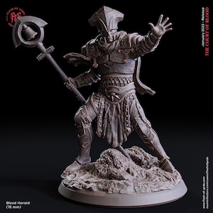 Blood Herald / 75mm / Wizard / Mage / Sorcerer / Warlock / Shadow / Pathfinder / DnD / Flesh of God / 3D Print / 4K Mini /TableTop Miniature