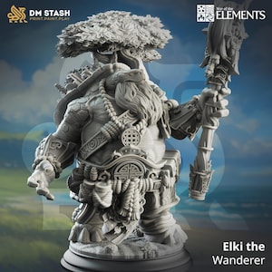 Elki the Wanderer / Turtle / Wizard / Caster / Turtlefolk / Magic / Beastfolk / Tortle / DnD / DM Stash / 3D Print / TableTop / 32mm / 75mm