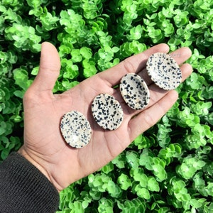 Bulk 10pcs Dalmatian Jasper Worry Stones