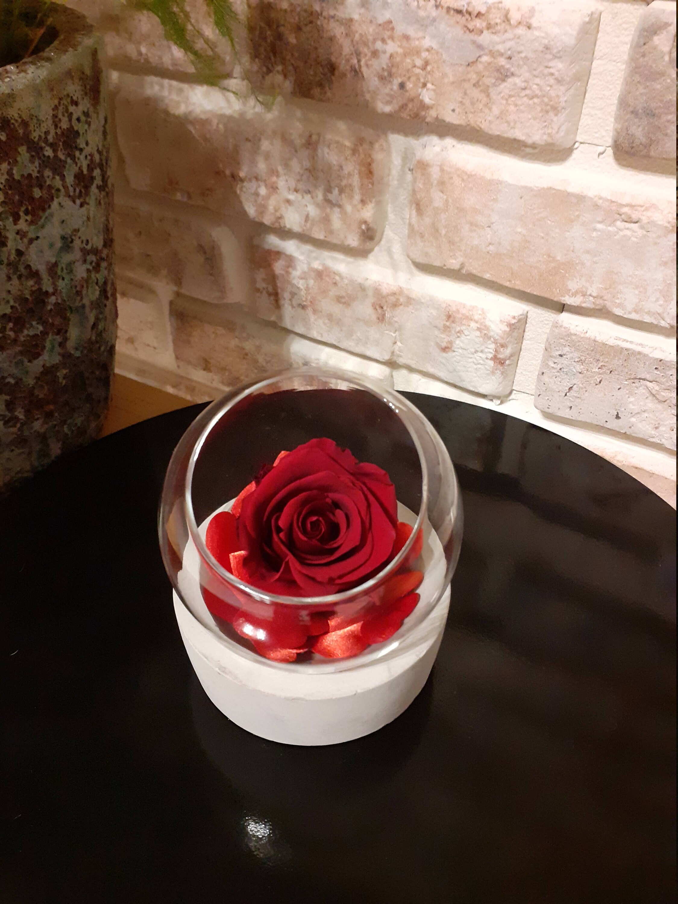 Rose Éternelle Rouge, Boule en Verre Base Ciment Décoratif