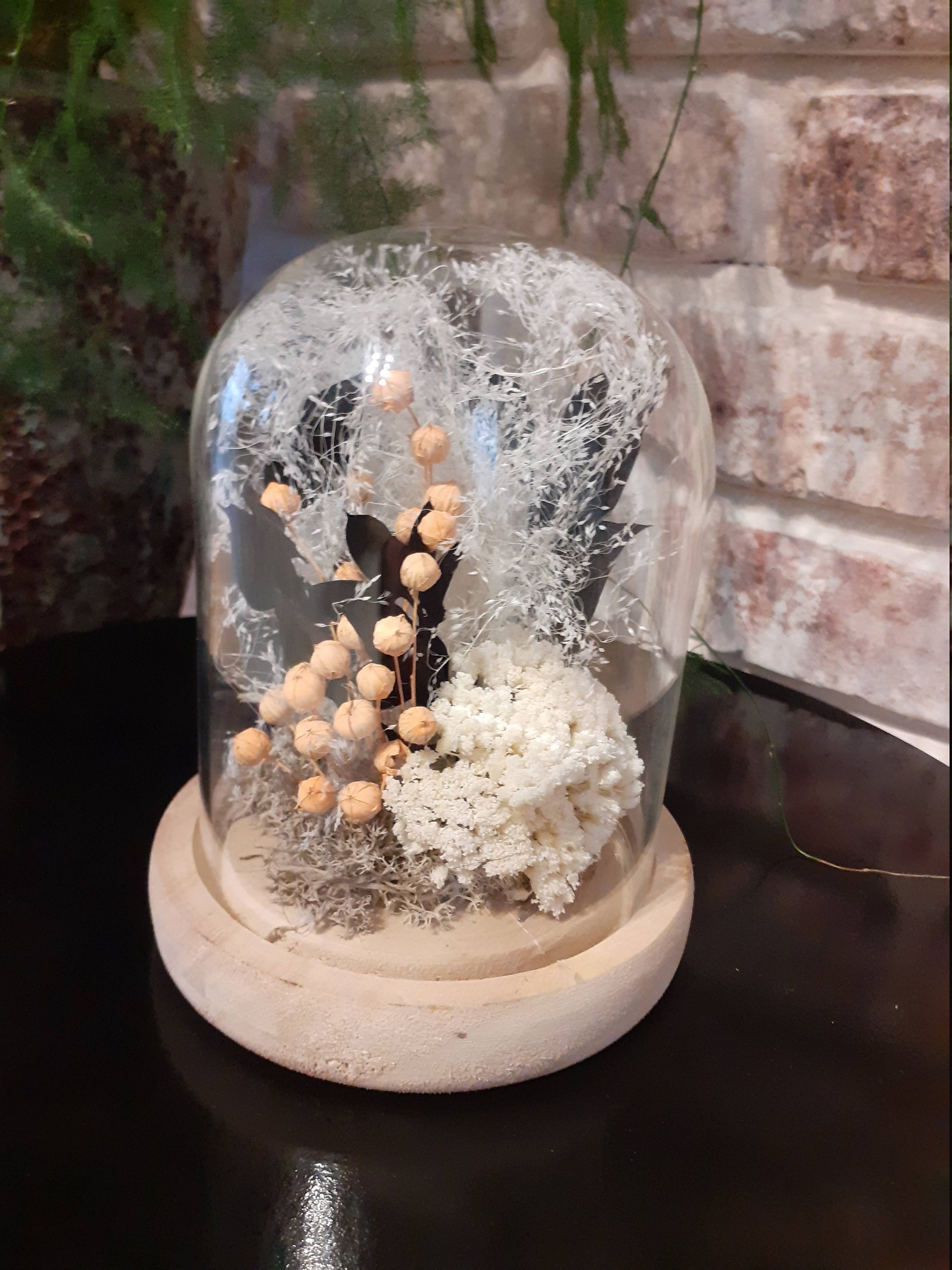 Jolies Fleurs Séchées Sous Cloche en Verre.