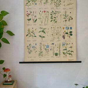 Vintage ACKER UNKRAUT II Schulwandkarte Original Lehrtafel