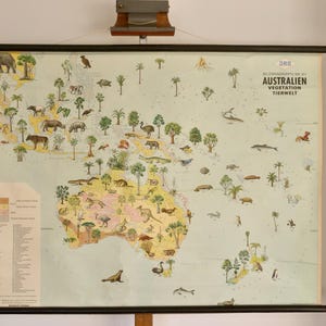 carte scolaire vintage AUSTRALIE « FAUNE et végétation » carte éducative primaire originale Etats-Unis
