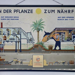 carte scolaire vintage « Von der Pflanze zum Nährfett », margarine, carte éducative originale des années 50