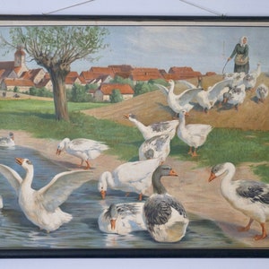Vintage GANS Schule Meinhold & Söhne 1910 Original Lehrtafel