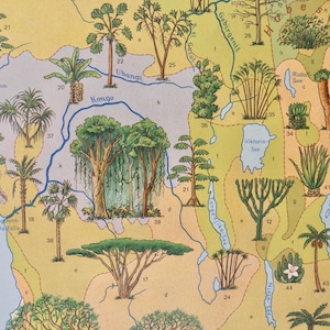 Carte scolaire vintage AFRICA Afrika « VEGETATION » Carte éducative originale