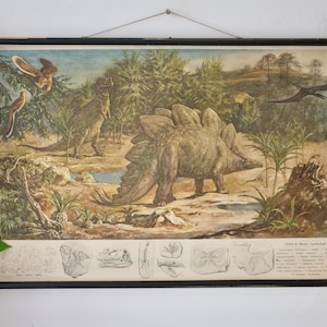 Vintage Schulkarte JURA II Geschichte des Lebens auf der Erde Original Lehrtafel