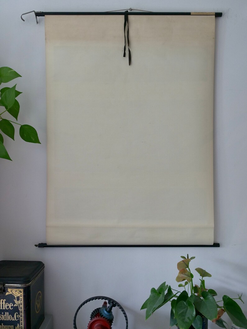 May include: A vintage cream-colored chart hanging on a wall, suspended by a black metal rod and a black ribbon. The chart is rolled at the bottom. The background includes a coffee tin, plants, and a mechanical gear.