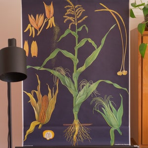 Vintage MAIZE schoolkaart Jung Koch Quentell originele educatieve kaart