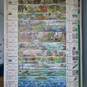 carte scolaire vintage « EVOLUTION of LIFE » sur Terre. Grande carte éducative originale