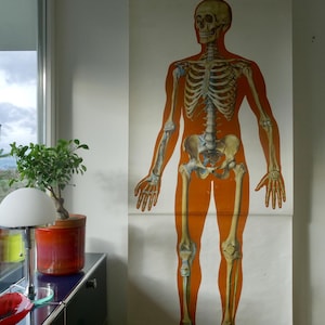 Vintage SKELETON front school HYGIENEMUSEUM Dresden jaren 60 originele educatieve kaart